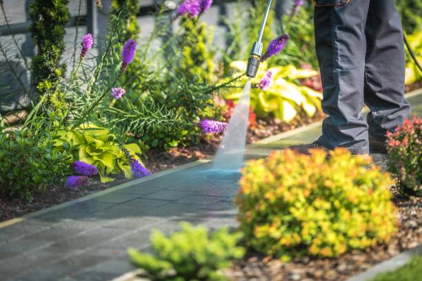 Professional  Pressure Washing Services in Corning, CA